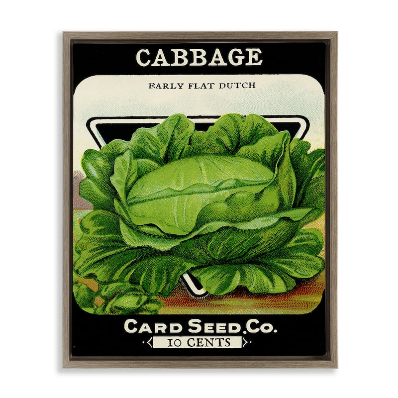 Stupell Vintage Garden Cabbage Framed Floater Canvas Wall Art Design By Lil' Rue - 25 x 31 - Brown