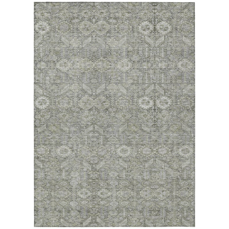 Machine Washable Indoor/ Outdoor Traditional Boho Chantille Rug