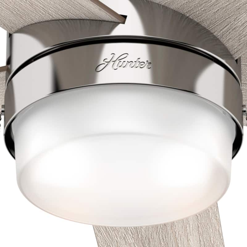 Hunter 52" Claudette Ceiling Fan with LED Light Kit and Pull Chain
