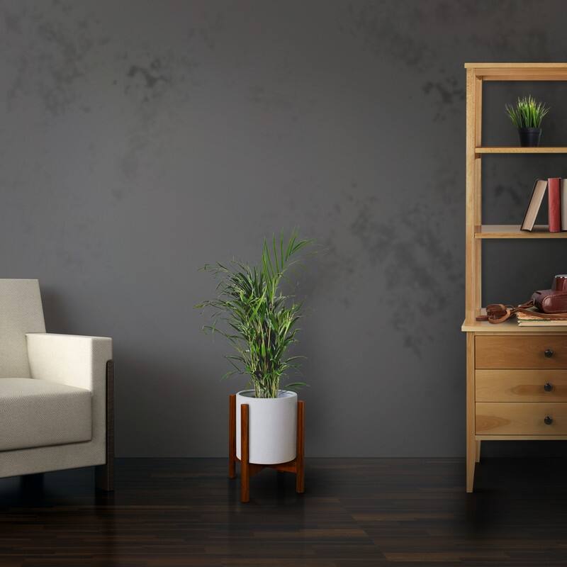 Mid-Century Modern Wood Plant Display Stand (Stand Only)