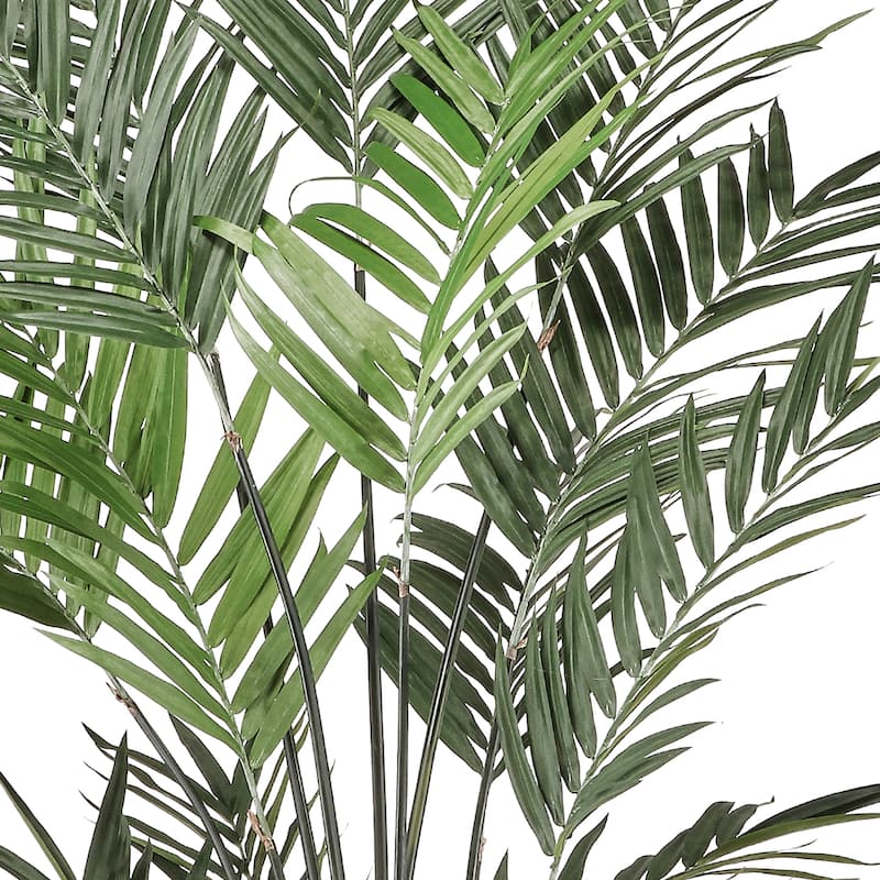 Potted Uv Treated Kentia Palm 8'