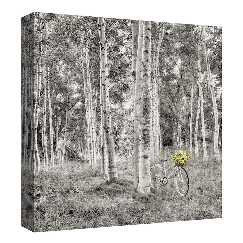 Sunflower Bicycle Ride by Alan Blaustein Canvas Art Print
