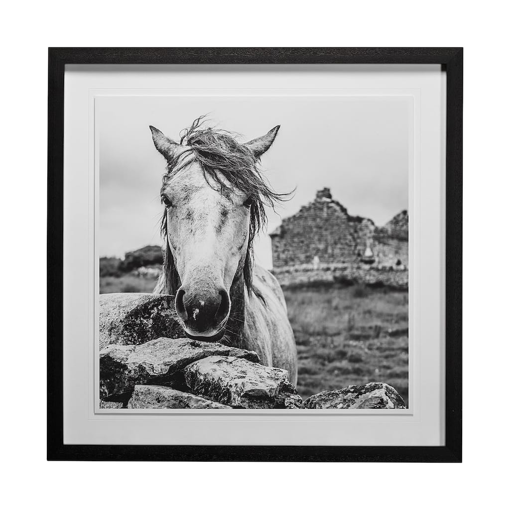 Ireland Black & White Framed Art Print