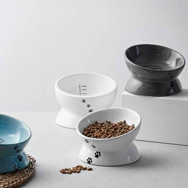 Y YHY Cat Bowl,Raised Cat Food Bowls Anti Vomiting,Tilted Elevated Cat Bowl,  Ceramic Pet Food Bowl - Bed Bath & Beyond - 34038951