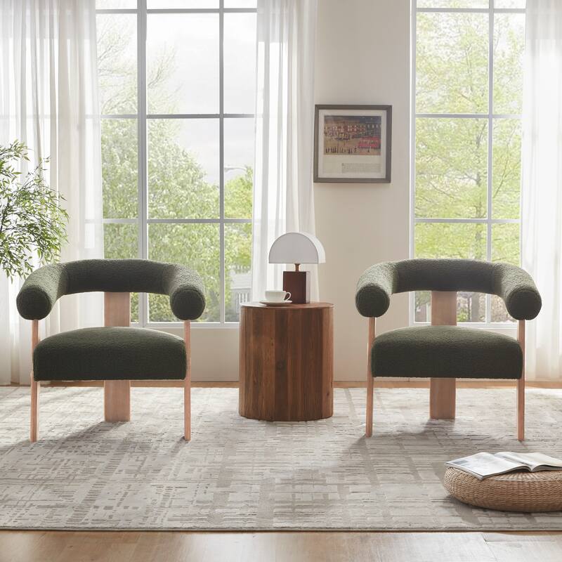 Accent Chair Living Room Chair with Solid Wood Frame