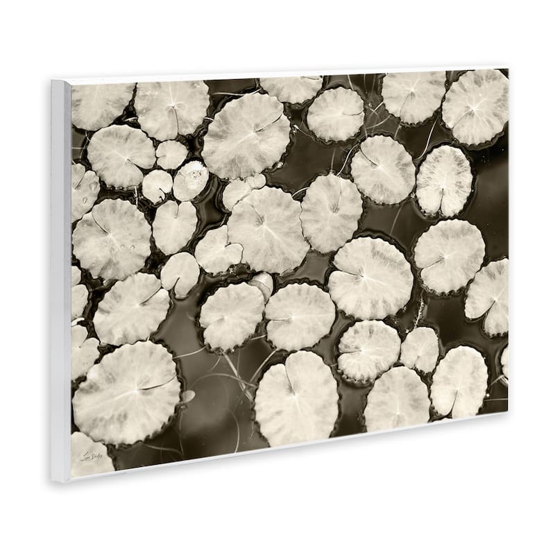Stupell White Floating Lily Pads Wall Plaque Art Design By Lori Deiter