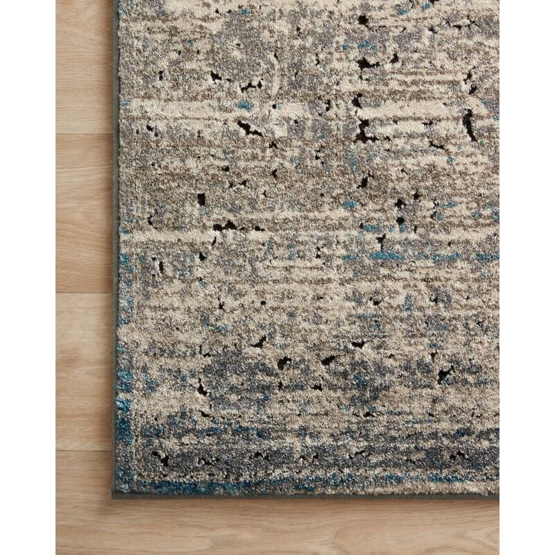 Alexander Home Carissa Distressed Floral Border Area Rug