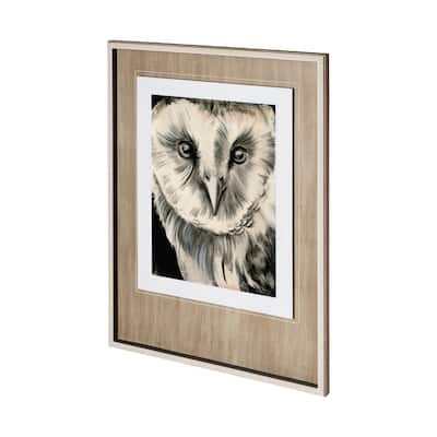 Charcoal Owl II Framed Art Print