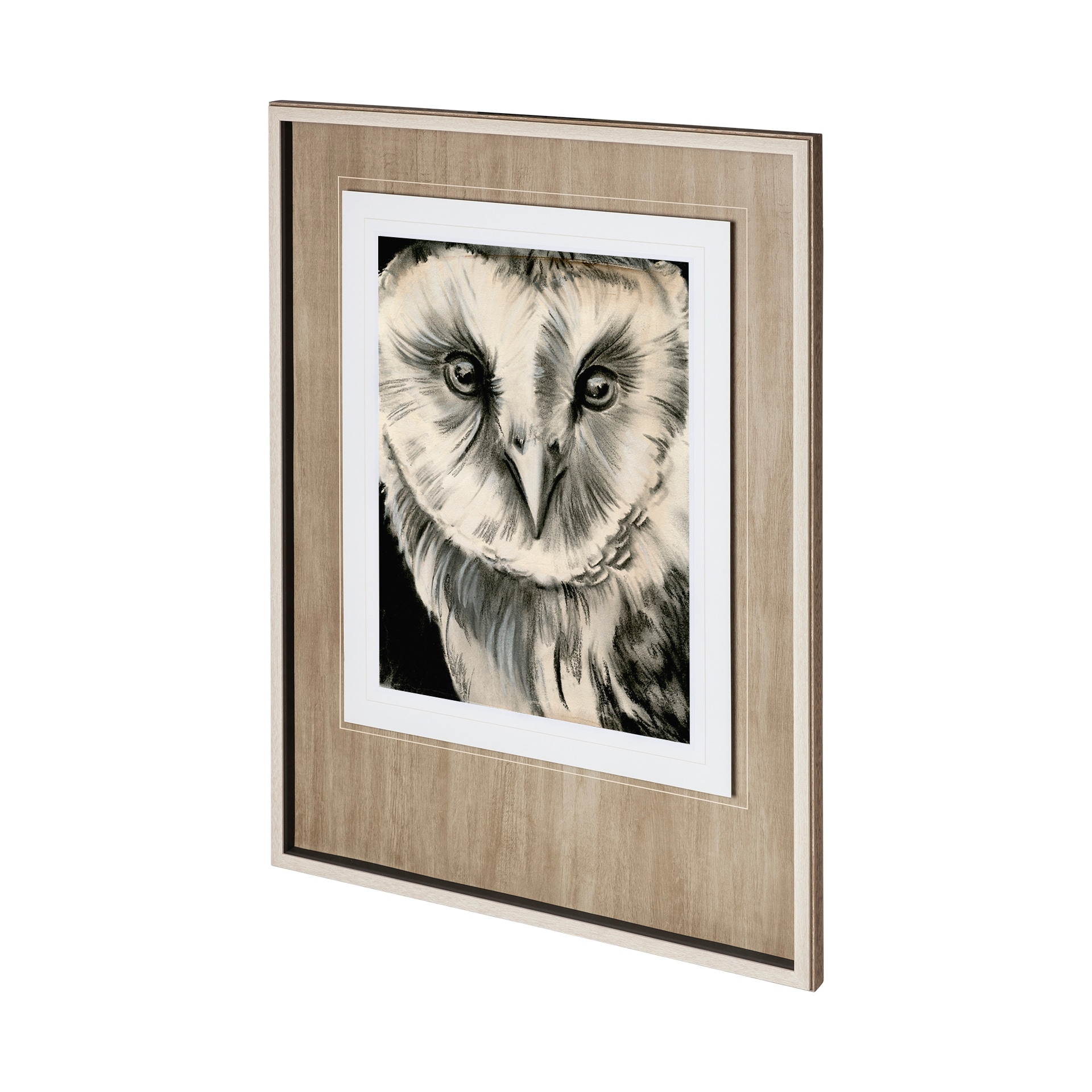 Charcoal Owl II by Jennifer Paxton Parker a Framed Art Print Matted under Glass