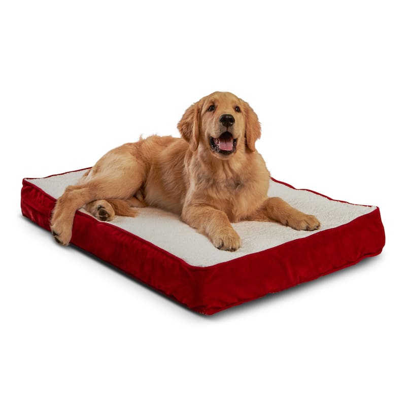 Happy Hounds Ozzie Deep Red Orthopedic Dog Bed - Small (36"x24")