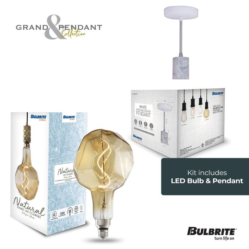 Bulbrite LED Grand Bulb and Pendant Kit of (1) 4 Watt Antique Glass 12" Jewel Shaped Bulb