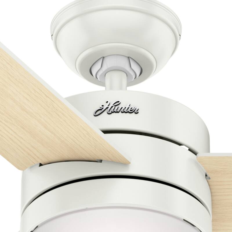Hunter 54" Exeter Ceiling Fan with LED Light Kit and Remote Control