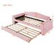 Option Pink