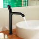 Option Matte Black-vessel
