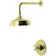 Option Polished Brass