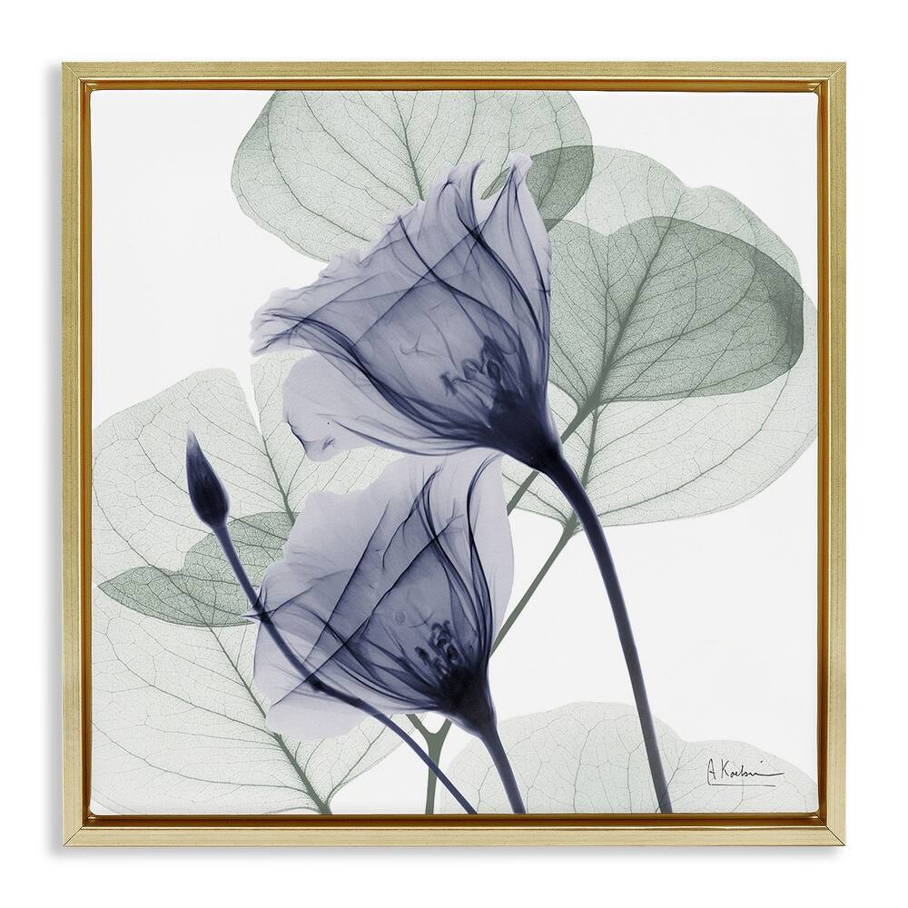 Stupell Serene Tulips & Herbs Framed Floater Canvas Wall Art Design By Albert Koetsier