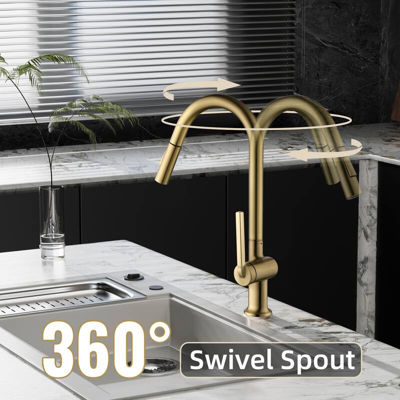 Modland 17''H Gooseneck Pull Down Kitchen Faucets For Kitchen Sinks in Gold