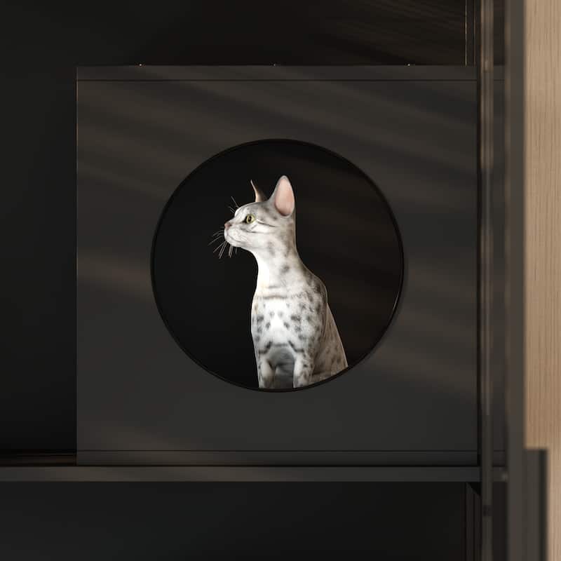 Black Large Cat Cabinet Pet Showcase Entertainment Space: Multi-functional Layout with Scratching Post, Space for Multiple Cats