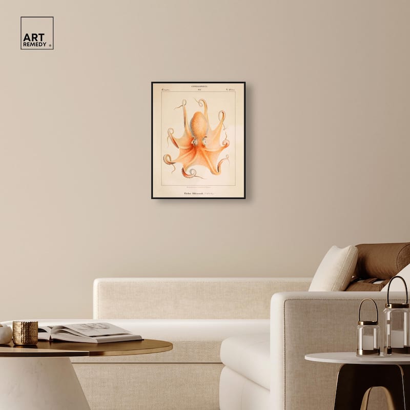 Verany The Octopus 1815 II Canvas by Art Remedy