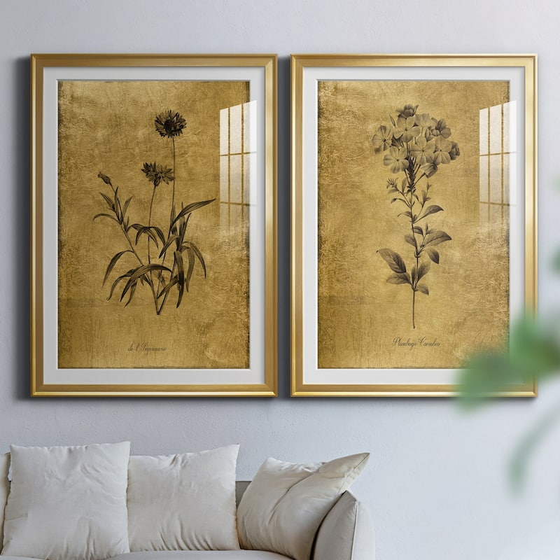 Gold Sketch Botanical I Premium Framed Print - Ready to Hang