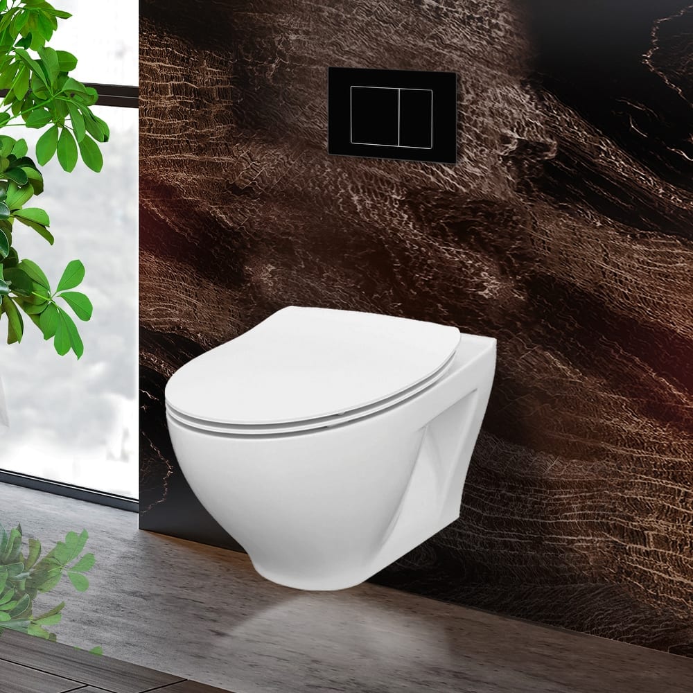 Toilet Combo Set - 20" Toilet Bowl With Soft-Close Seat, 2"x 4" Concealed Tank And Carrier System, Push Buttons Included.