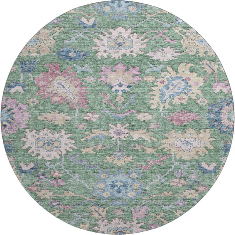 Premium Washable Super Soft Traditional Farmhouse Mayfield Rug