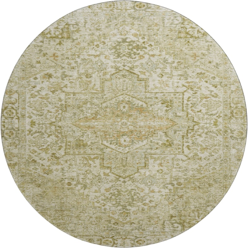 Premium Washable Super Soft Traditional Mayfield Rug
