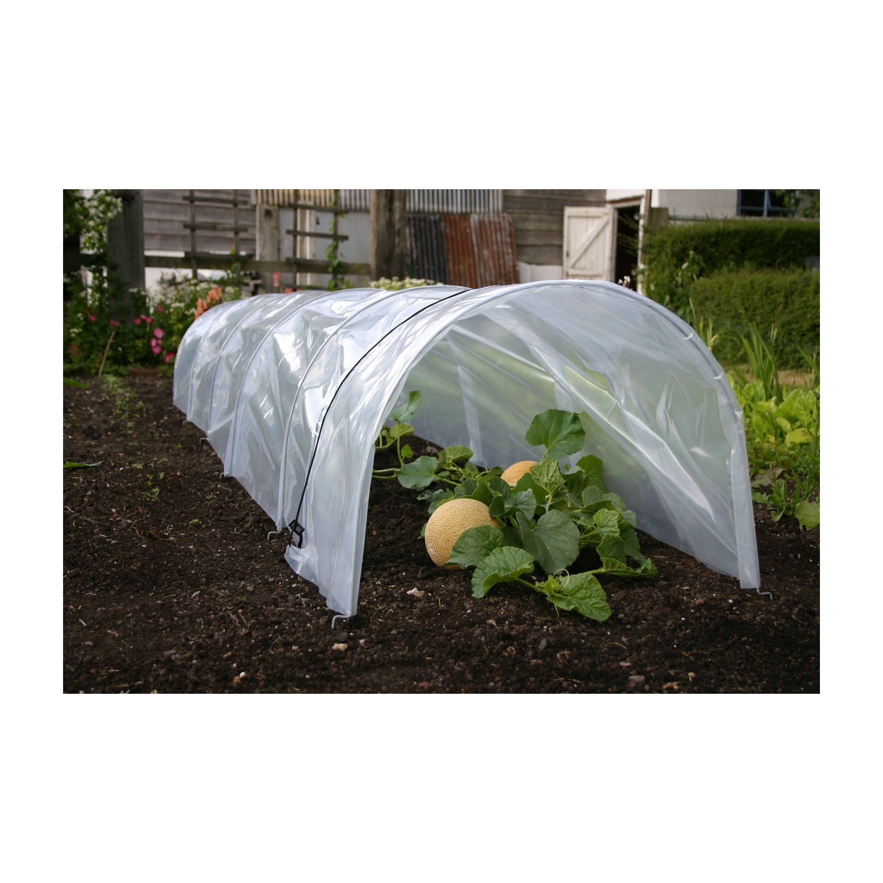Haxnicks Easy Poly Plant Protection Tunnels