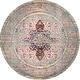preview thumbnail 19 of 20, Nuloom Distressed Persian Sarita Area Rug