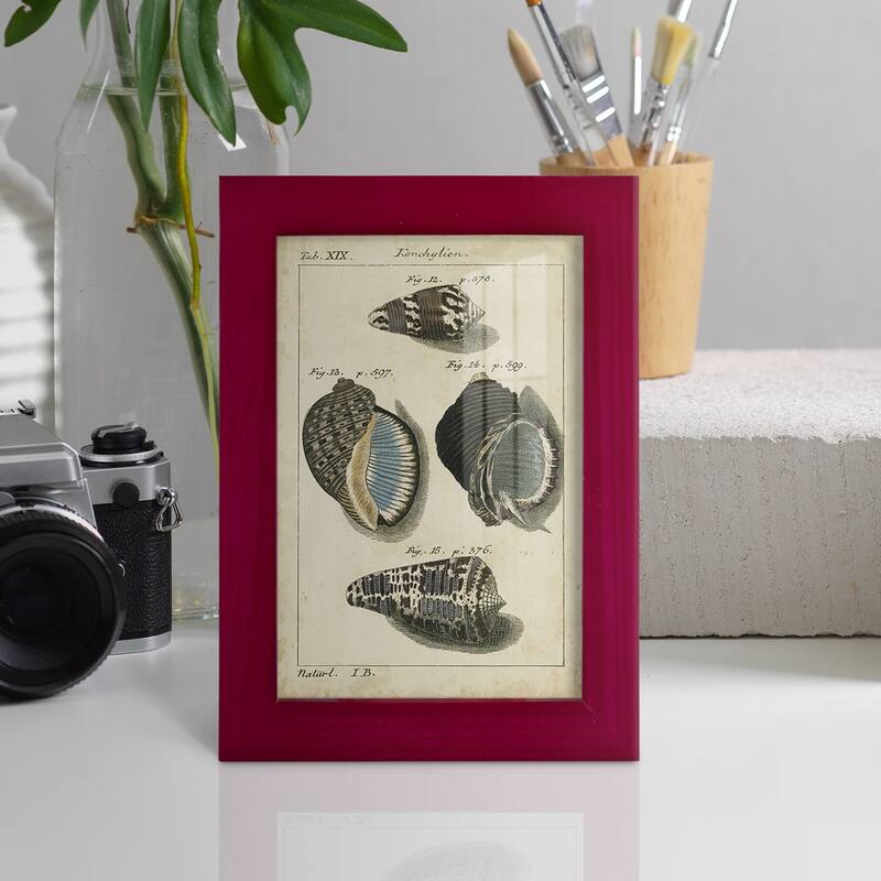 Vintage Shell Study III -Framed Print w/glass-Cherry Red
