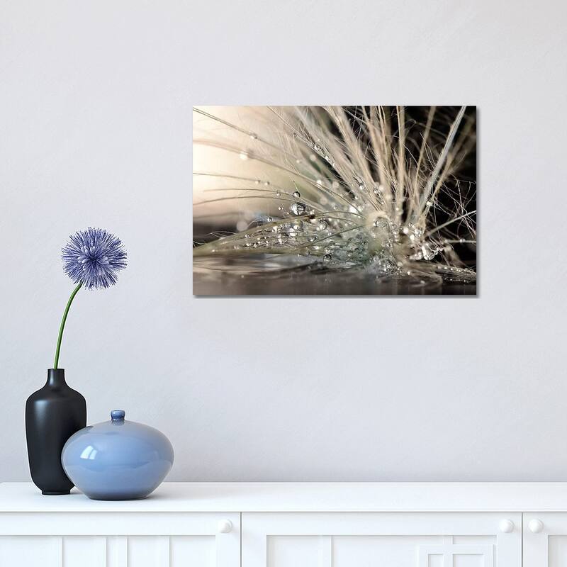iCanvas "Pearls" by Maryam Zahirimehr Canvas Print - 12x18x1.5