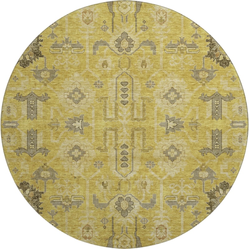 Premium Washable Super Soft Traditional Global Mayfield Rug
