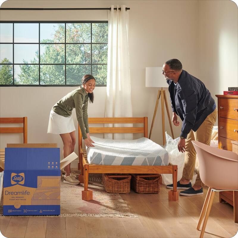 Sealy Dreamlife 6" Foam Mattress-in-a-Box