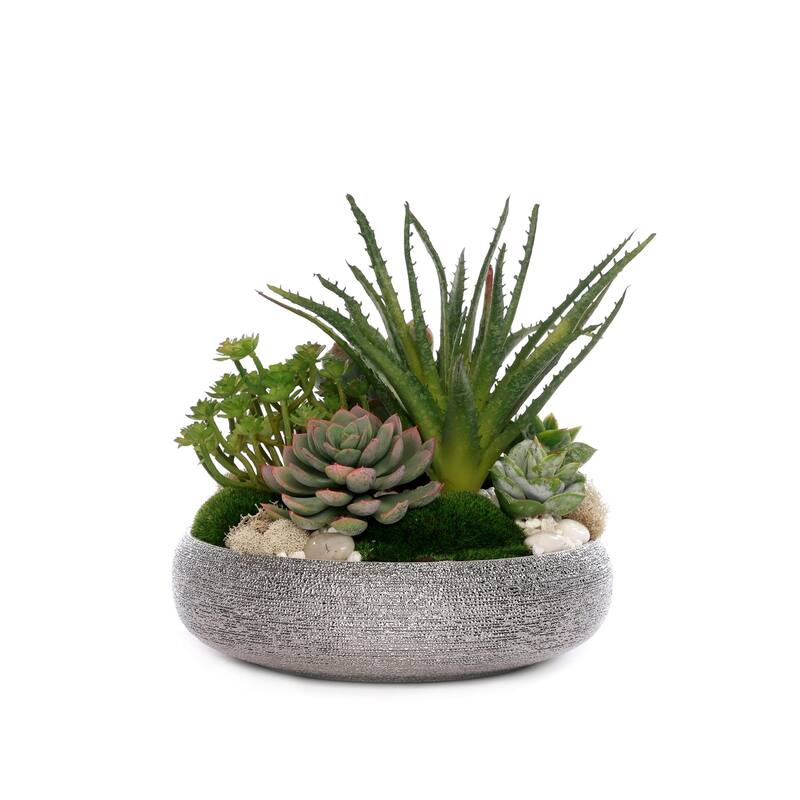 Succulent Arrangement with Pebbles and Moss in Silver Bowl