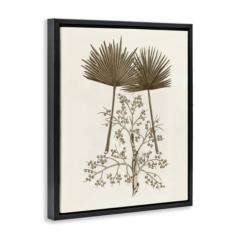 Stupell Palm Leaf & Olive Branches Framed Floater Canvas Wall Art Design By Phillipa Katz