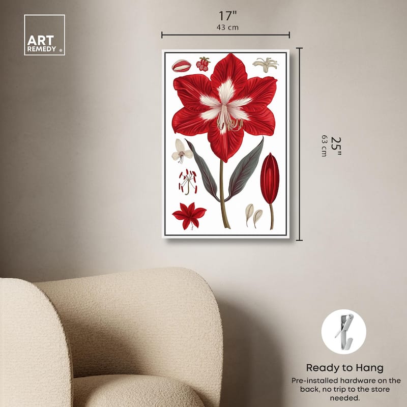 Amaryllis Anatomy Canvas by Art Remedy