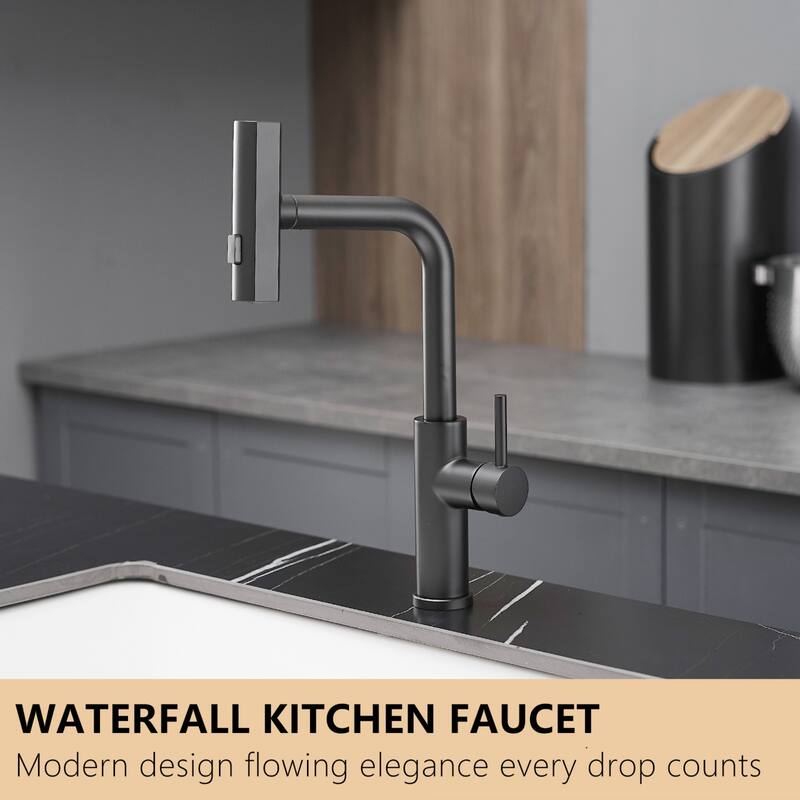 Kitchen faucet with pull-out sprayer