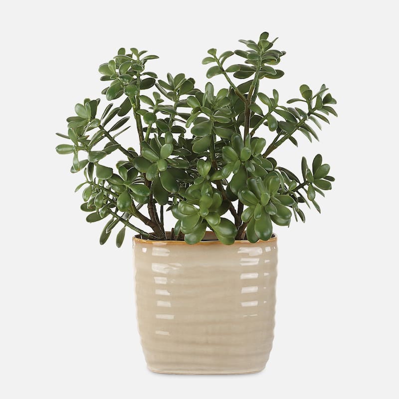 Jade Crassula Artificial plant with Ceramic Pot - 23.5" - Green and Beige