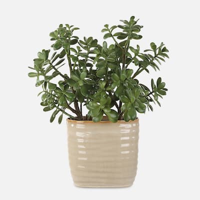Jade Crassula Artificial plant with Ceramic Pot - 23.5" - Green and Beige