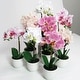 preview thumbnail 6 of 20, Artificial Phalaenopsis Orchid Flower Arrangement in White Pot 13in