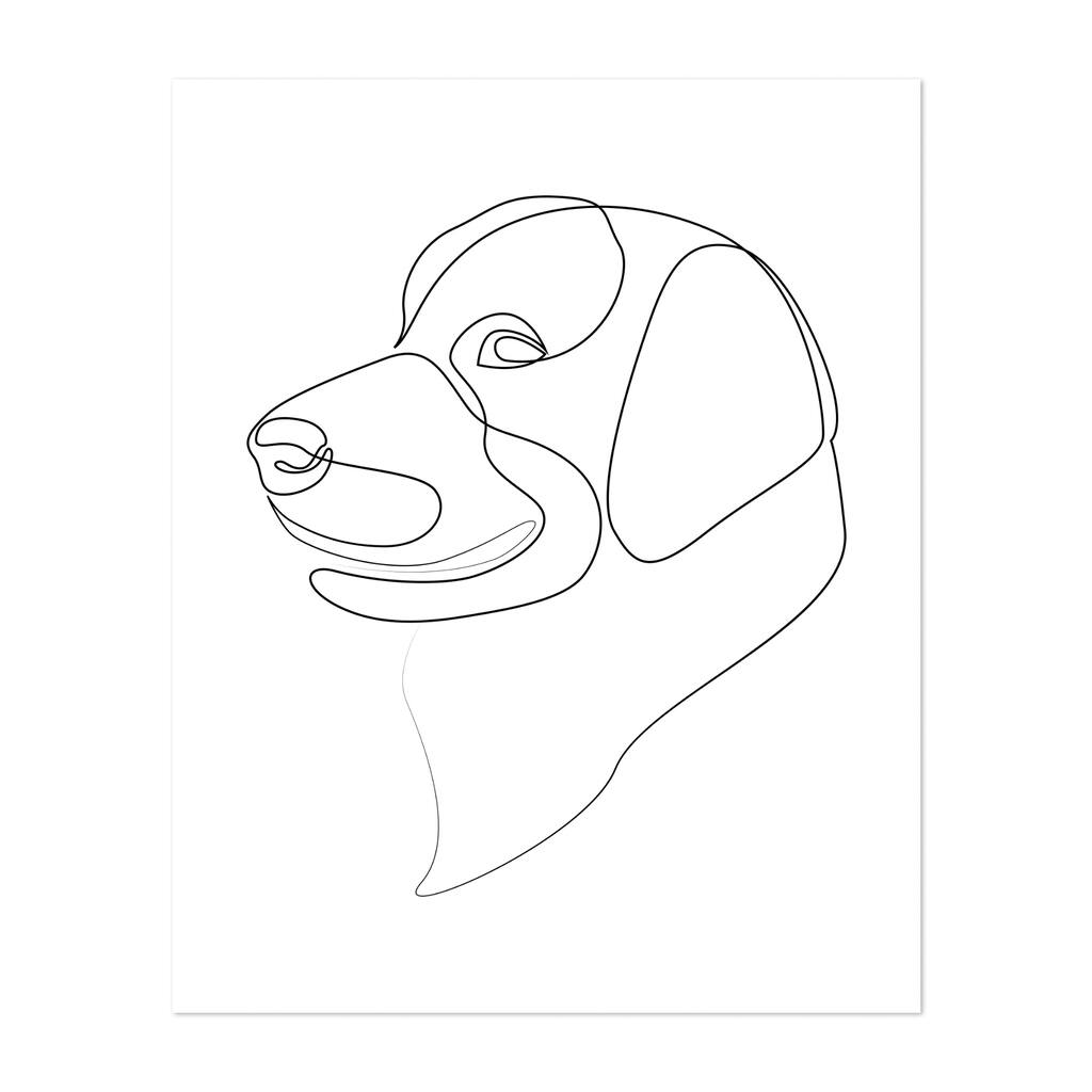 Labrador Retriever Line Drawings Animals Dog Minimal Art Print/Poster