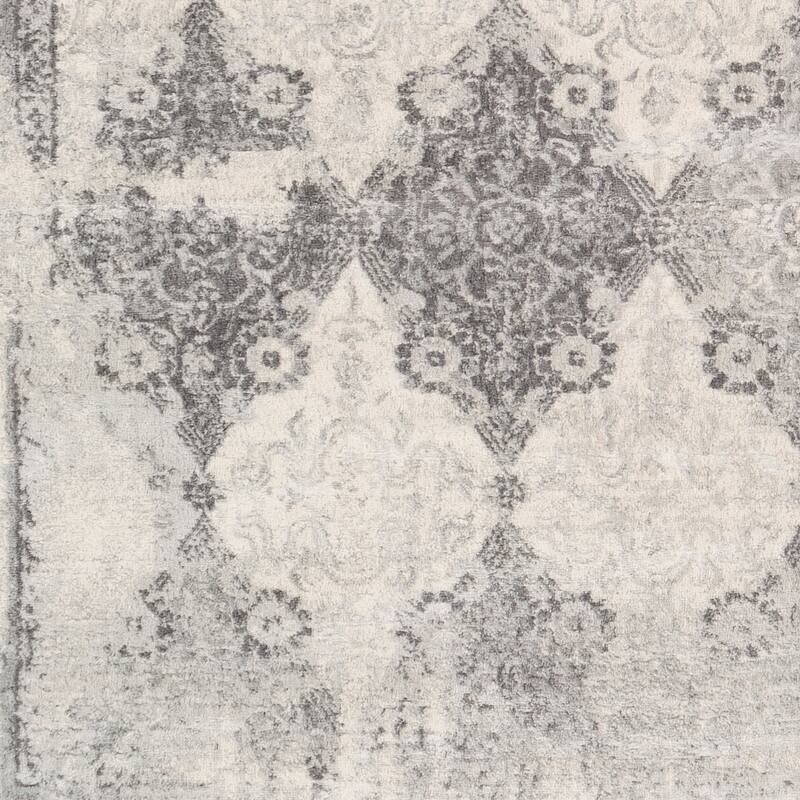 Raj Medallion Trellis Area Rug