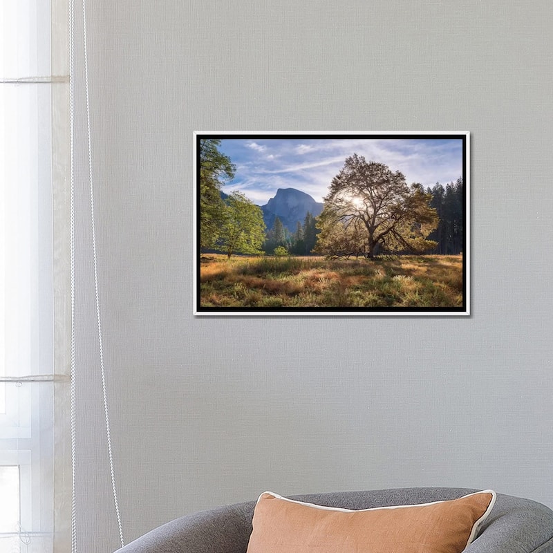 iCanvas "Cook's Meadow" by Adam Burton Framed Canvas Print