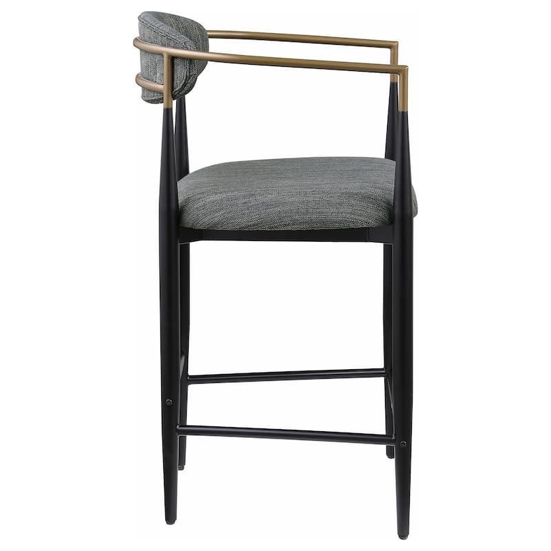Tina Fabric Upholstered Metal Armrests Chairs (Set of 2)