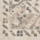 preview thumbnail 19 of 42, Nourison Fusion Vintage Distressed Area Rug