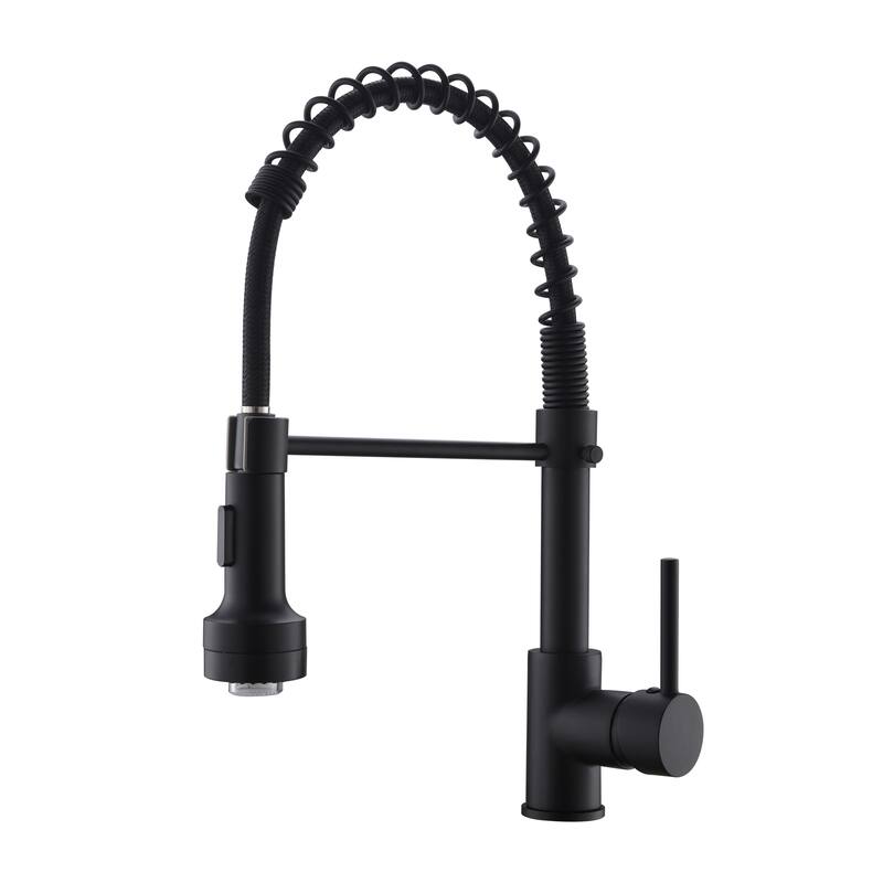 Pull Down Spray Swivel Kitchen Faucet w/LED 2 Spout