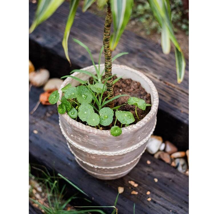 RusticReach Tasha Red Terracotta Planter
