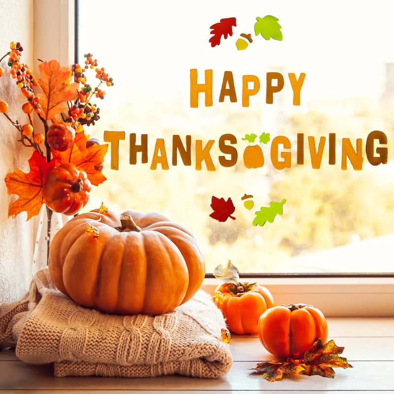 23-Piece Happy Thanksgiving Fall Gel Window Clings