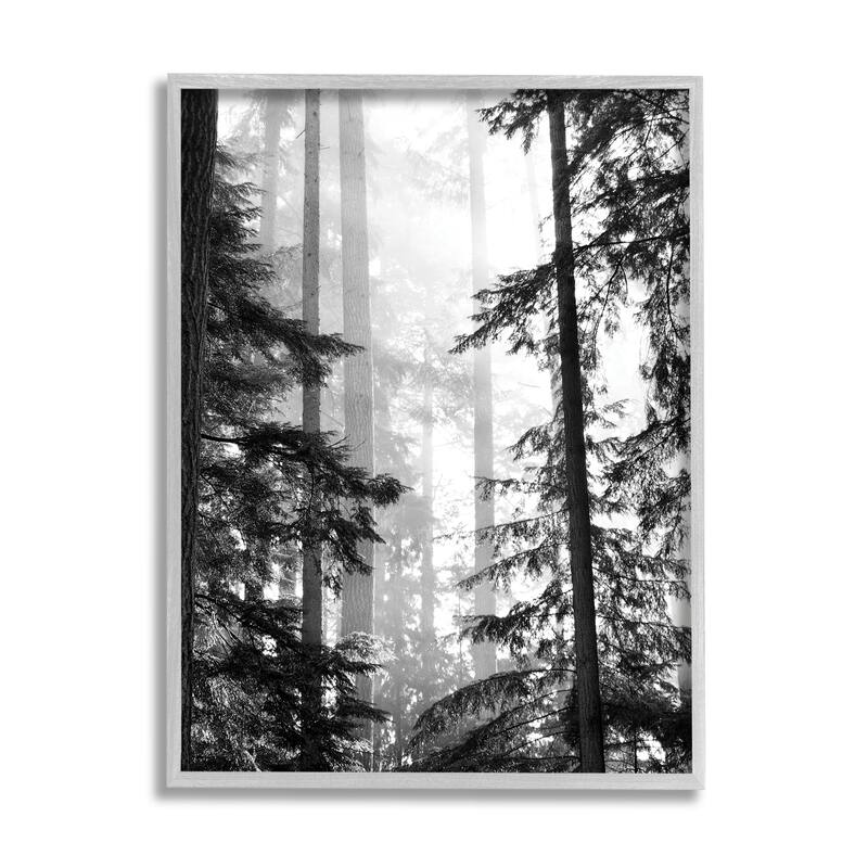 Stupell Forest Light Shining Through Tall Trees Landscape Photography Framed Wall Art - 11 x 14 - Grey