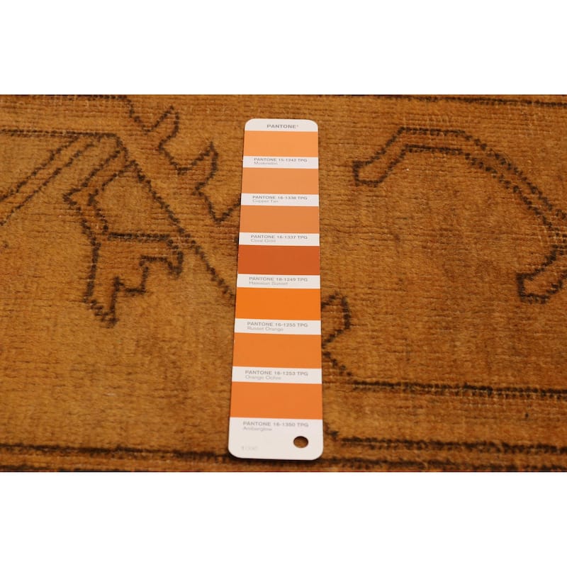 ECARPETGALLERY Hand-knotted Color Transition Light Orange Wool Rug - 6'5 x 9'0